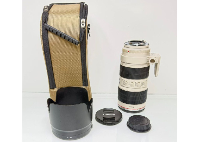 Canon EF 70-200mm F/2.8L IS II USM , Glass Scratches